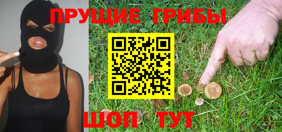 Псилоцибиновые грибы прущие грибы Астрахань